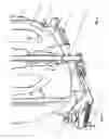 Fig. 04 - Culture medium preparator comprising a vessel provided with a central stirrer put into rotation by a magnetic ring