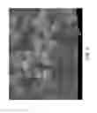 Fig. 06 - Composition of matter and structure of zeolite UZM-55
