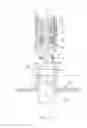 Fig. 16 - Pipetting device, pipette tip coupler, and pipette tip: devices and methods
