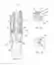 Fig. 40 - Pipetting device, pipette tip coupler, and pipette tip: devices and methods