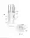 Fig. 55 - Pipetting device, pipette tip coupler, and pipette tip: devices and methods