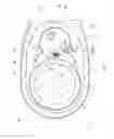 Fig. 08 - Selectively one-way wrench