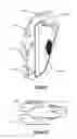 Fig. 10 - Multitool