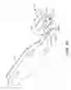 Fig. 03 - Accessory attachment for driven fastener hand tool