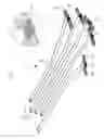 Fig. 03 - Tendon systems for robots