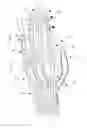 Fig. 06 - Tendon systems for robots