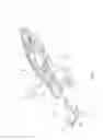 Fig. 02 - Cutter