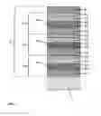 Fig. 02 - Transparent pane with electrically conductive coating