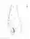 Fig. 02 - IMPACT MITIGATION VEHICLE COVER