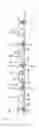 Fig. 02 - Articulated railway vehicle, with an improved modularity