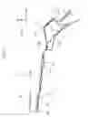 Fig. 03 - Vehicle roof structure