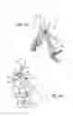 Fig. 22 - Foldable Electric Vehicle