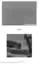 Fig. 09 - Biomimetic insect