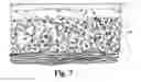 Fig. 07 - Hybrid composite hydroponic substrate system