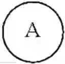 Fig. 41 - Hepatitis B viral assembly effectors