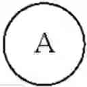 Fig. 486 - Hepatitis B viral assembly effectors