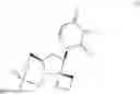 Fig. 03 - Uracyl spirooxetane nucleosides