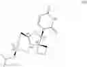 Fig. 05 - Uracyl spirooxetane nucleosides