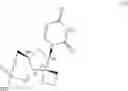 Fig. 07 - Uracyl spirooxetane nucleosides