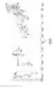 Fig. 09 - SALTS OF OBETICHOLIC ACID
