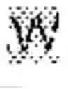 Fig. 04 - Nucleic acid construct