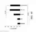 Fig. 06 - VIBRO-BASED DELIVERY SYSTEM AND IMMUNE SUPPRESSION