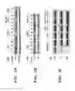 Fig. 07 - VIBRO-BASED DELIVERY SYSTEM AND IMMUNE SUPPRESSION