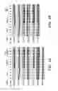 Fig. 08 - VIBRO-BASED DELIVERY SYSTEM AND IMMUNE SUPPRESSION
