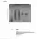 Fig. 09 - Method for protein purification