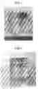 Fig. 02 - Crystal material, method for manufacturing crystal, radiation detector, nondestructive inspection apparatus, and imaging apparatus