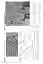 Fig. 09 - Core-shell quantum dots and method of synthesizing thereof