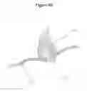 Fig. 16 - Fire starting devices and methods