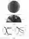 Fig. 08 - Mutant Yarrowia Strain Capable of Degrading Galactose