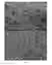 Fig. 02 - Decellularized human amniotic membrane for cell delivery, cell culture and inflammation prevention