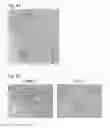 Fig. 19 - MULTIPOTENT PROGENITOR CELL DERIVED FROM ADIPOSE TISSUE