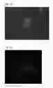 Fig. 25 - MULTIPOTENT PROGENITOR CELL DERIVED FROM ADIPOSE TISSUE