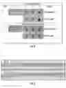 Fig. 04 - Methods and Kits for Production of Tissue Equivalents from Cryopreserved Cells