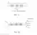Fig. 02 - Robust quantification of single molecules in next-generation sequencing using non-random combinatorial oligonucleotide barcodes