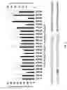 Fig. 04 - CAS9 mutant genes and polypeptides encoded by same