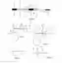Fig. 05 - Functional ligands to chikungunya envelope proteins
