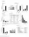 Fig. 04 - Method and kit for use in inhiiting tumor progression, predicting or determining tumor progression state in VGF expressing cancers