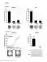 Fig. 07 - Method and kit for use in inhiiting tumor progression, predicting or determining tumor progression state in VGF expressing cancers