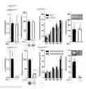 Fig. 15 - Method and kit for use in inhiiting tumor progression, predicting or determining tumor progression state in VGF expressing cancers