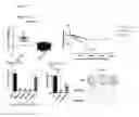 Fig. 19 - Method and kit for use in inhiiting tumor progression, predicting or determining tumor progression state in VGF expressing cancers