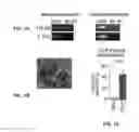 Fig. 02 - Diagnostic and screening methods for atopic dermatitis