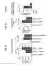 Fig. 03 - Diagnostic and screening methods for atopic dermatitis