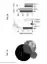 Fig. 06 - Diagnostic and screening methods for atopic dermatitis
