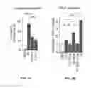 Fig. 09 - Diagnostic and screening methods for atopic dermatitis