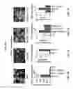 Fig. 11 - Diagnostic and screening methods for atopic dermatitis