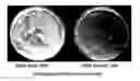 Fig. 01 - Enhanced processes and reagents for host engineering